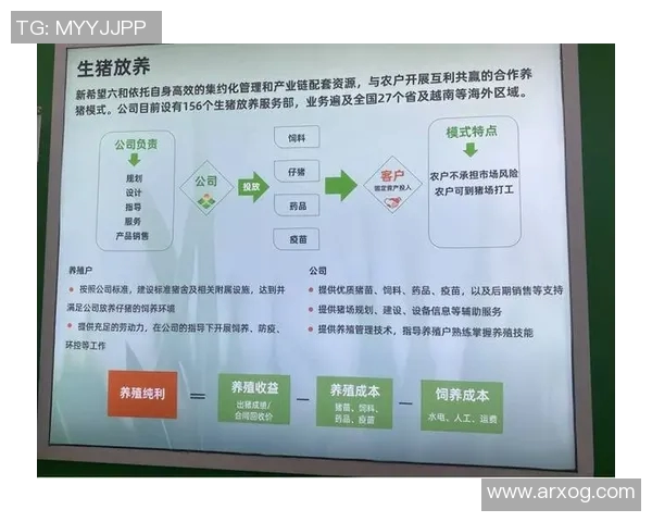 阮庭北边路突破新机遇助力区域经济发展与合作前景展望